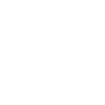 download-icon