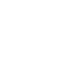 website-icon